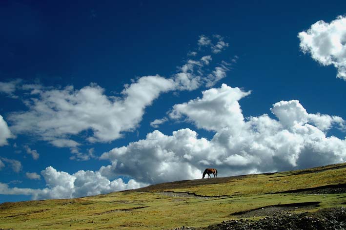 可爱安卓模型来了！超萌 看完想买‘xc体育’