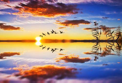 
循环的意义是什么？‘xc体育’(图2)